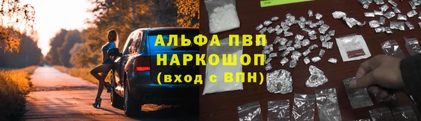 прущие грибы Каменск-Шахтинский