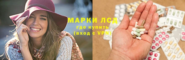 прущие грибы Каменск-Шахтинский
