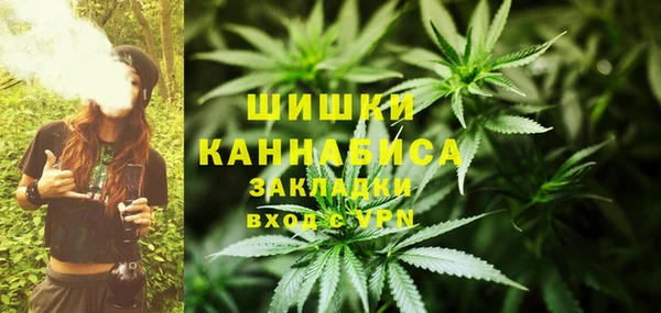 прущие крисы Каменногорск
