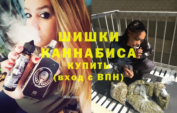 прущие крисы Каменногорск