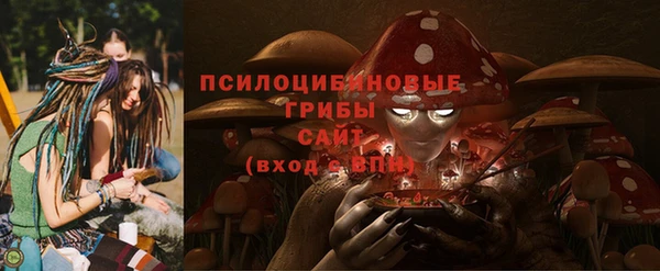 прущие грибы Каменск-Шахтинский