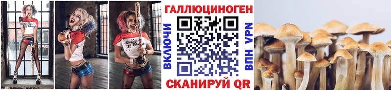 Псилоцибиновые грибы Magic Shrooms  Купить закладки  Тольятти 